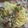 donuts★'s cooksnap of when they made 旨味たっぷり！お手軽なアサリのパスタ！.