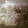 低カロ探検隊's cooksnap of when they made 【冷凍保存】超便利 玉ねぎ３種類.
