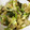 低カロ探検隊's cooksnap of when they made 簡単一品★麩〜卵とじ.