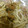 低カロ探検隊's cooksnap of when they made ほったらかし！新玉ねぎと鯖缶のホイル蒸し.