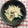 fndcb837's cooksnap of when they made きゅうりとかまぼこの岩のりマヨ和え.