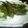 トラントトロア's cooksnap of when they made ししとうの味噌炒め.