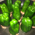 ★るるな★'s cooksnap of when they made 絞り出し方式☆まるごとピーマンの肉詰め！.