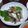 きんぐふぃっしゃー's cooksnap of when they made いわしの胡麻醤油漬け.