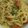 ma___111's cooksnap of when they made えのきとベーコンの豆乳パスタ.