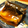 妻の下僕's cooksnap of when they made 定番！簡単！さばの味噌煮.