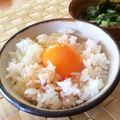 ｃｈｏｌｏｎ's cooksnap of when they made 新生姜醤油.