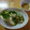 kotorier's cooksnap of when they made ささみとクリームチーズの生春巻.
