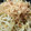 パパの手料理☆'s cooksnap of when they made もやしとみょうがのおひたし.