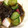 クックP90MXE☆'s cooksnap of when they made タコと胡瓜の酢の物.