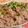 rie-tin's cooksnap of when they made 豚バラもやしポン☆材料３つで5分で完成！.