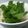 田中みこと's cooksnap of when they made 鳥とほうれん草の中華粥.