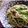 ＋mikazuki's cooksnap of when they made 和風パスタ.