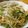 低カロ探検隊's cooksnap of when they made ふーちゃんぷるー（麩の炒めもの）.
