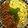 ハッピィ0730's cooksnap of when they made チーズが香る、イタリアンそぼろ丼.