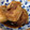 YOUKAYOUKO's cooksnap of when they made やわやわ〜とろりん☆豚の角煮☆.