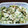 ★あきすけ★'s cooksnap of when they made ゴーヤときゅうりのマヨネーズあえ.