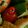 ma___111's cooksnap of when they made プチトマトとキャンディチーズのピック.
