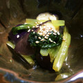 hiro0516's cooksnap of when they made 【10分】簡単♪茄子と小松菜の旨辛ナムル.