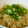 クック64OY6U☆'s cooksnap of when they made ♥うなぎのタレで美味しいネギごはん.
