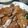 幸さち's cooksnap of when they made 鶏の照り焼き.