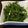 クックP4OJN4☆'s cooksnap of when they made 大量消費！超簡単ピーマンのゴマ塩炒め.
