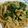 たけ☆'s cooksnap of when they made 簡単！タマゴ＆ピーマンのスパゲッティ.