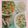 ＊ゆきゆき＊'s cooksnap of when they made 鶏手羽元とたっぷり野菜のとろとろスープ.