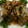 クックW40I1H☆'s cooksnap of when they made サンマの蒲焼き.