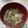 ラリー＆サラ's cooksnap of when they made こごみのお味噌汁.