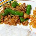 ＊9214＊'s cooksnap of when they made 豚バラとシシトウの炒め物.