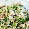 はるたんママ0727's cooksnap of when they made 豆苗ともやしの中華炒め♡.