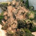 chiipoon's cooksnap of when they made ♪簡単！美味しい♪オクラの胡麻和え.