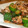 mikaicchi's cooksnap of when they made 豚肉ときゅうりの梅肉炒め.