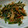 trump1129's cooksnap of when they made ニラともやしのキムチ炒め.