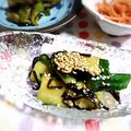 ＴＯＭＯＷＡＴ's cooksnap of when they made ある物で簡単★おつまみ★塩キュウリ★.