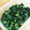 クック15E9MJ☆'s cooksnap of when they made 簡単味付け自由ｵｸﾗのﾈﾊﾞﾈﾊﾞ和え.