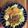 クック4XXCQD☆'s cooksnap of when they made 梅玉そぼろの爽やか二色丼.
