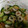 クックRWD0W9☆'s cooksnap of when they made 超早楽！ちくわときゅうりのおかか和え.