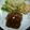 ぴちゃぴちゃん's cooksnap of when they made れんこん入りハンバーグ.