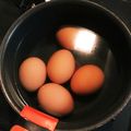 さくらンボー's cooksnap of when they made 温泉卵の作り方.