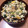 クックXMTWW6☆'s cooksnap of when they made モロヘイヤと木綿豆腐の簡単丼.