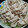 クックEUOKJF☆'s cooksnap of when they made 簡単レシピの豚バラと白菜の冷しゃぶ.