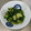 クックOCUD1Q☆'s cooksnap of when they made きゅうりとつるむらさきのナムル.