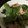 ごめっきー's cooksnap of when they made 生モロヘイヤのジェノベ—ゼソース和え.
