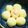 きちぇり's cooksnap of when they made 簡単！材料3つ♪当り･_･付き卵ボーロ.