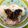 みぃーーみ☆'s cooksnap of when they made ご飯のお供★岩のり＋たくあん★.