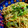 Sma's cooksnap of when they made 簡単！しらすとゴーヤのシンプル和風パスタ.