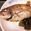 taku☆momo☆'s cooksnap of when they made 鯛の煮付け.