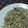 みがつくひと's cooksnap of when they made 超簡単★せせりもやし炒め.